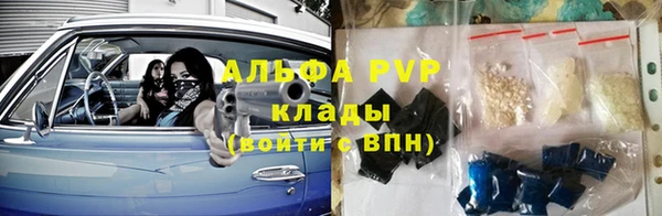 крисы Алексин